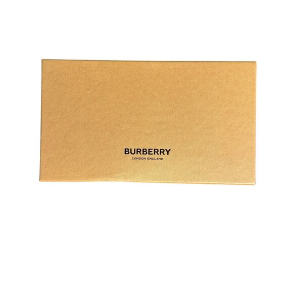 Burberry BE3147 1344M4 Silver Aviator Sunglasses w/Case, Box and Care Book - Picture 9 of 13